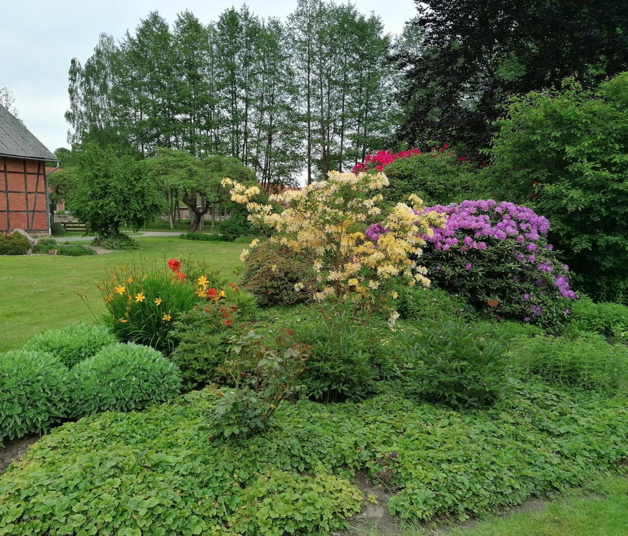Ferienwohnung Am Teich Dannenberg Exteriör bild